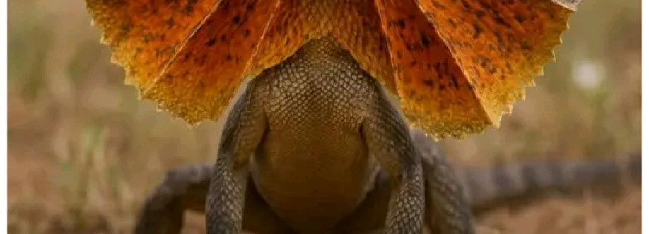 Raah Raah Cover Image